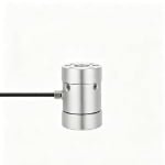Flange type torque sensor