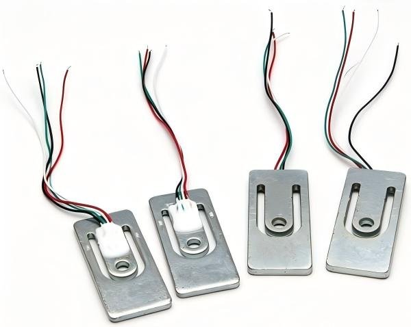 Micro load cell for luggage scale
